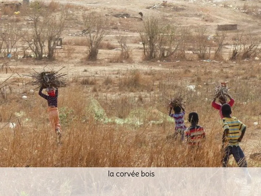 Visite 2020, photo 62