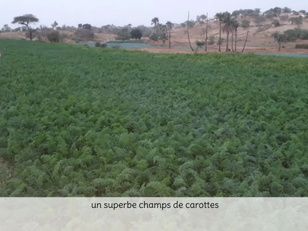 Visite 2020, photo 63