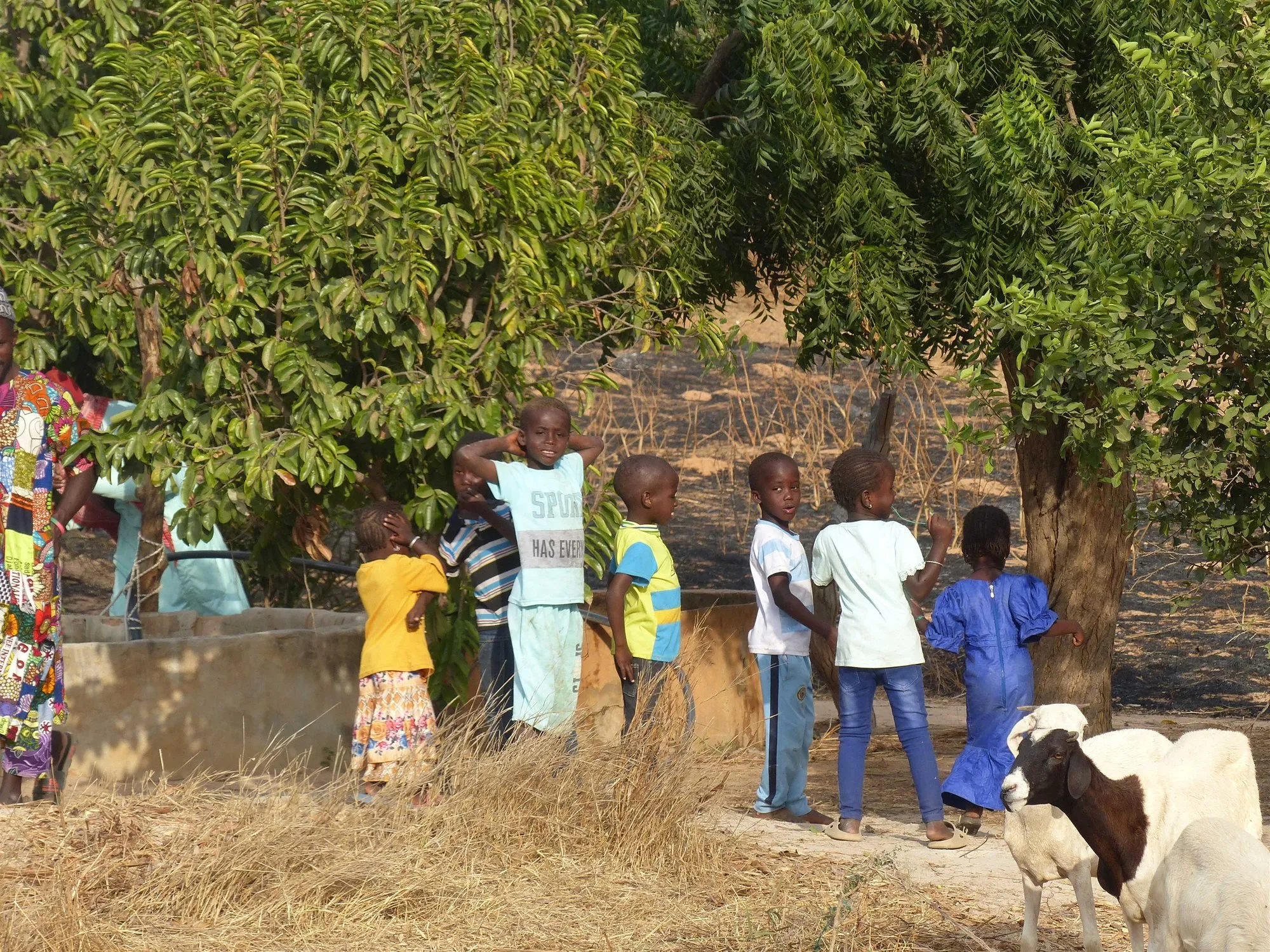Visite 2024, photo 42