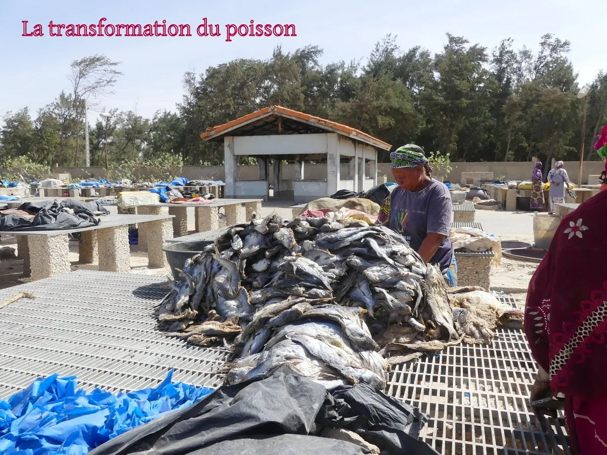 Visite 2026, photo 9
