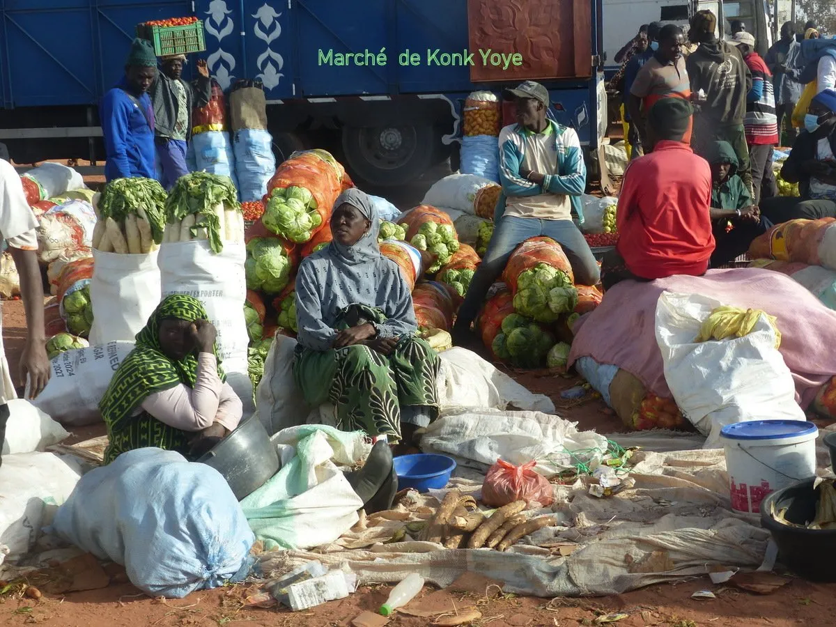 Visite 2026, photo 23